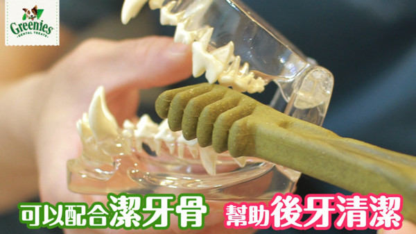 ▲▼你家狗寶貝潔牙骨吃對了嗎。（圖／翻攝自影片）